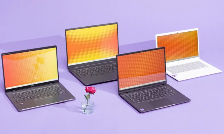Six Budget Picks You’ll Love