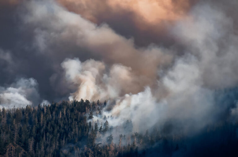 Can our climate be saved by removing carbon from the sky?