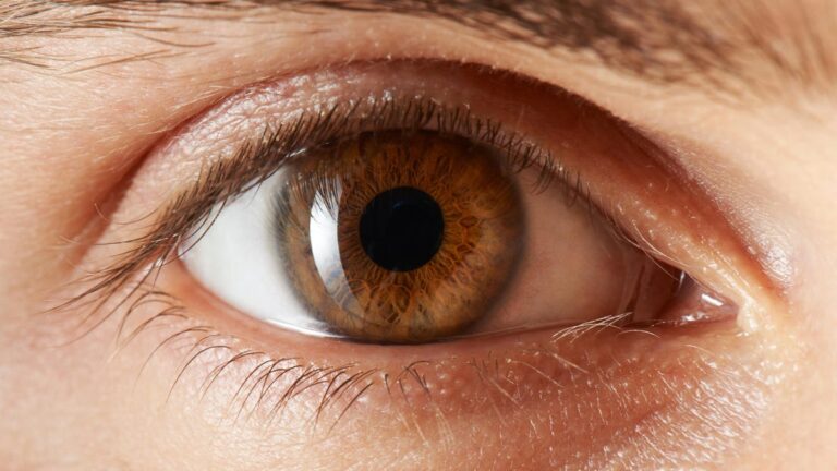 The best vitamins and supplements for eye health