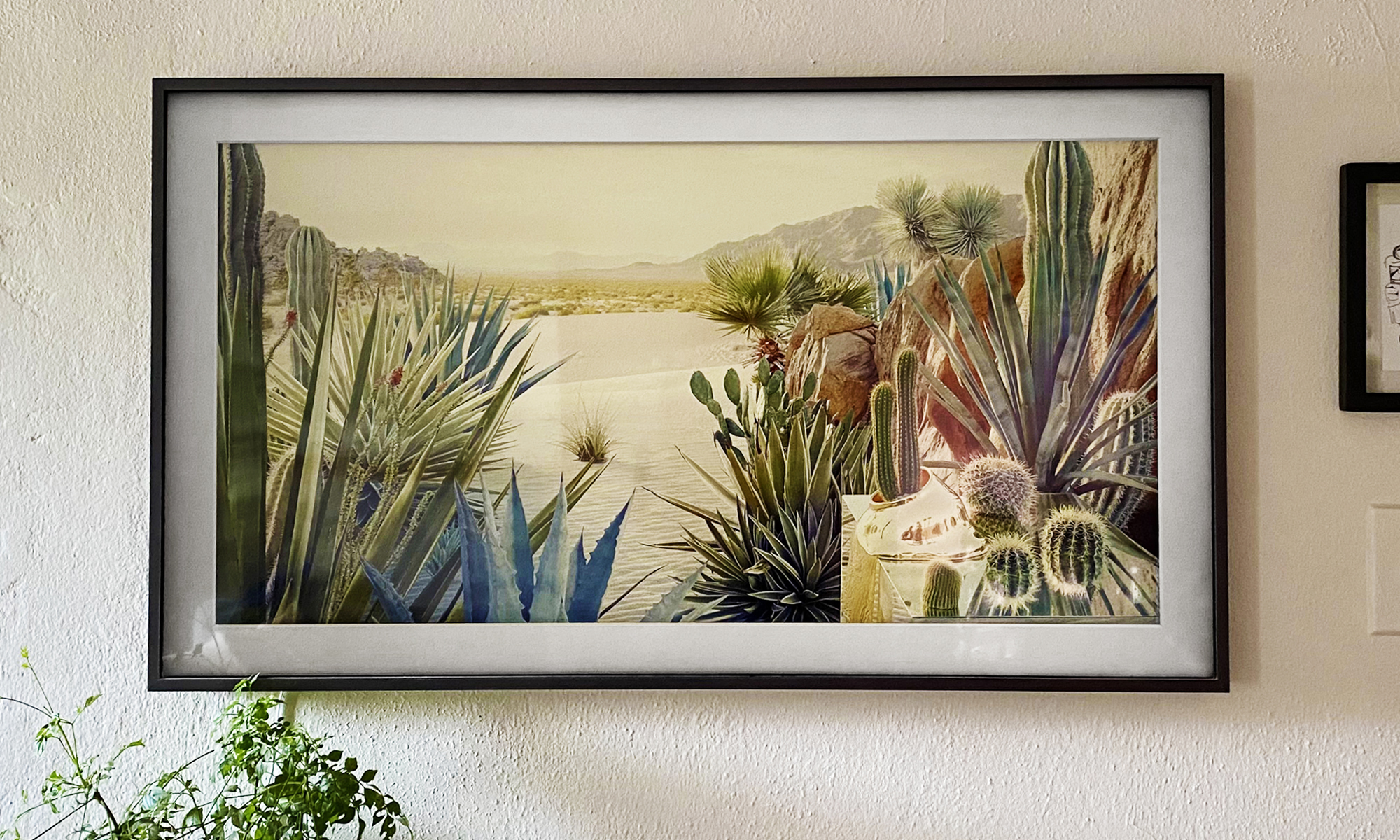 Samsung frame