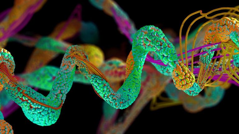 NASA scientists want to solve a mystery: why life “turned left?”