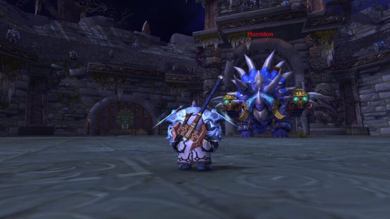 World of Warcraft: Collector’s generosity, explained