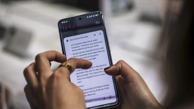 Return to school he agreements: The main discounts for college students