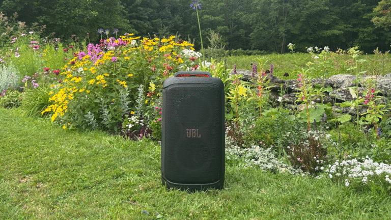 Review: JBL Partybox 520 made my wedding even better