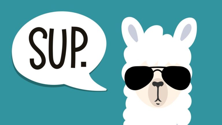 Meta Llama: All you need to know about the open generating model of him Meta Llama: All you need to know about the open generating model of him